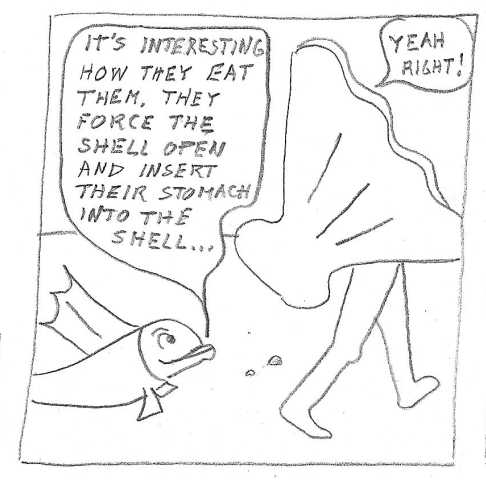 Man becomes clam-man