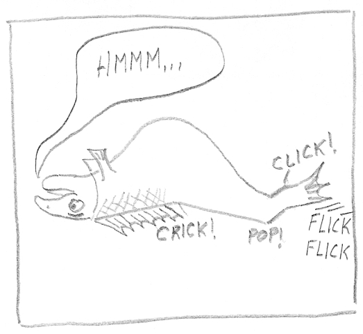 Man becomes clam-man