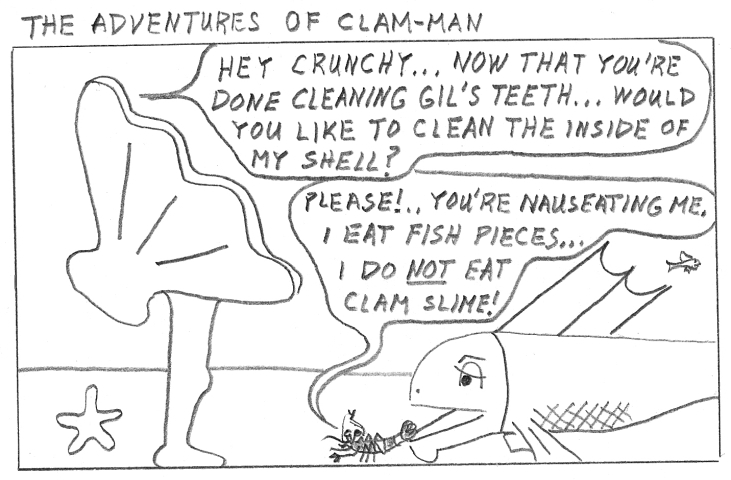 Man becomes clam-man