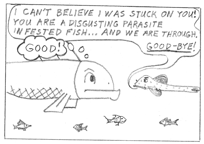 Man becomes clam-man