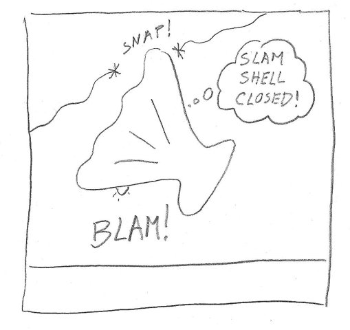 Man becomes clam-man