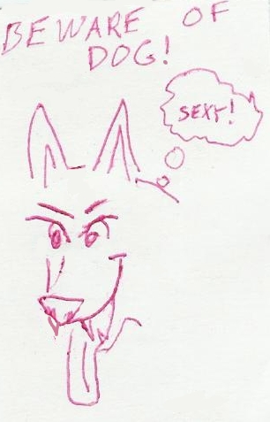 Beware of Dog