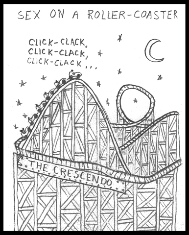 Sex On A Rollercoaster