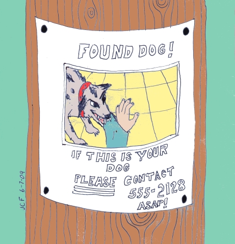 Found Dog